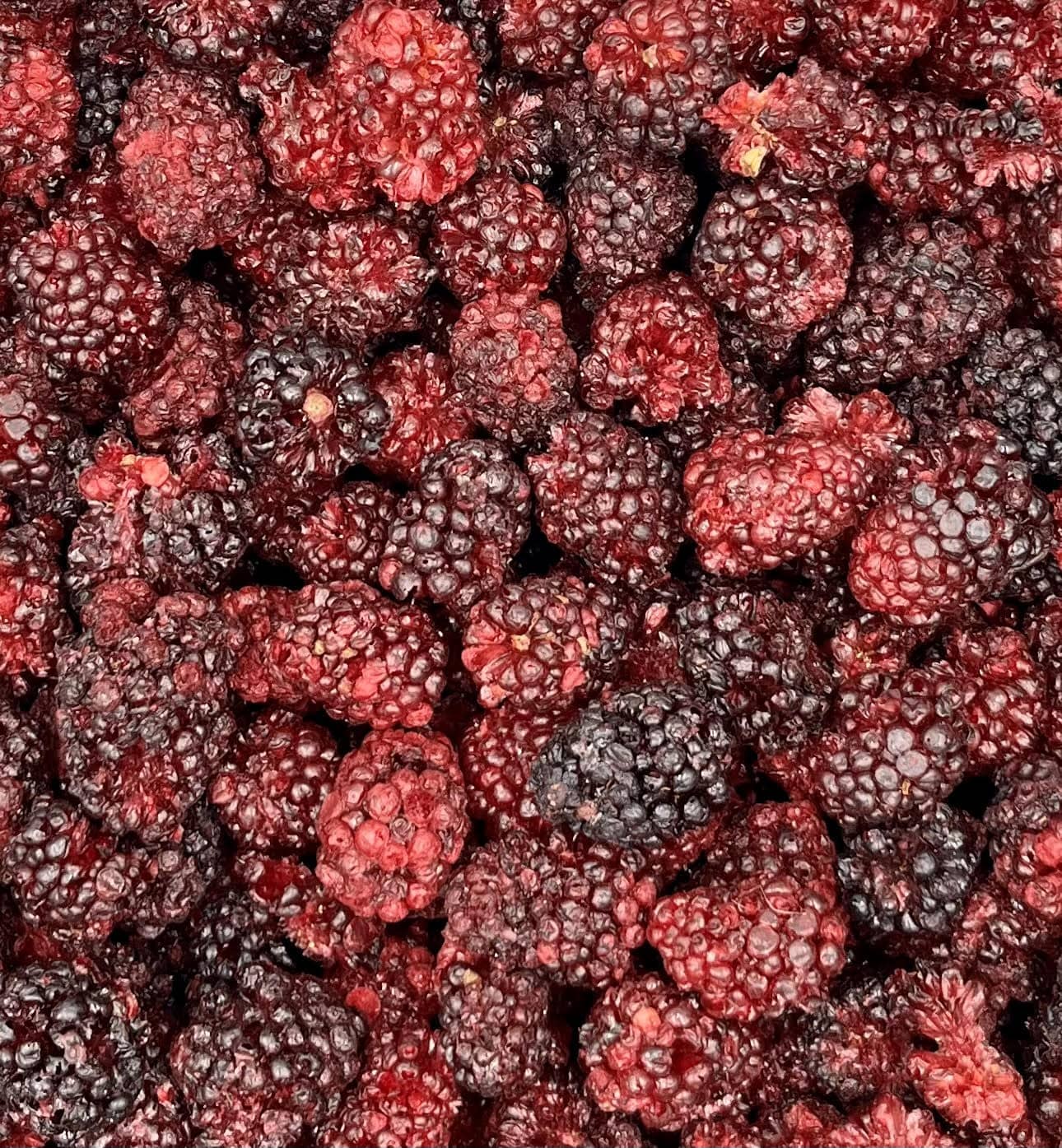 Gevriesdroogd fruit - Gevriesdroogde Bramen