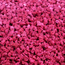 Gevriesdroogde Dragonfruit Blokjes