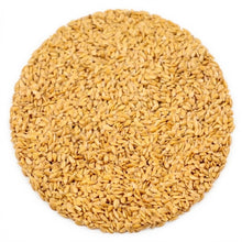 Lijnzaad Blond