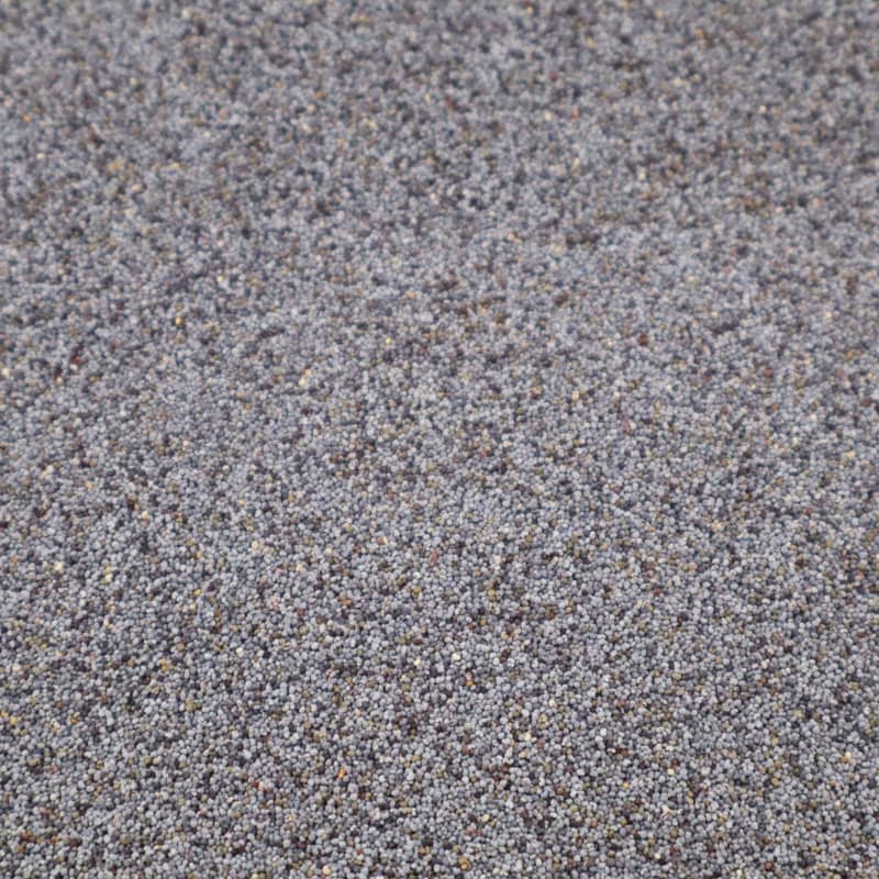 Maanzaad Blauw