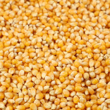 popcorn mais