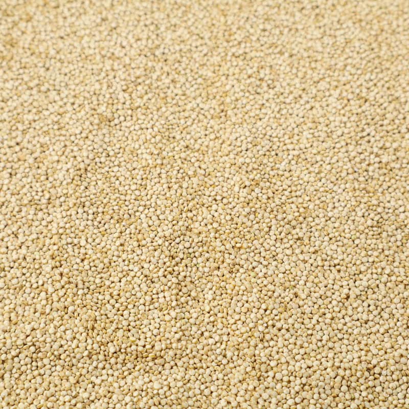 Quinoa